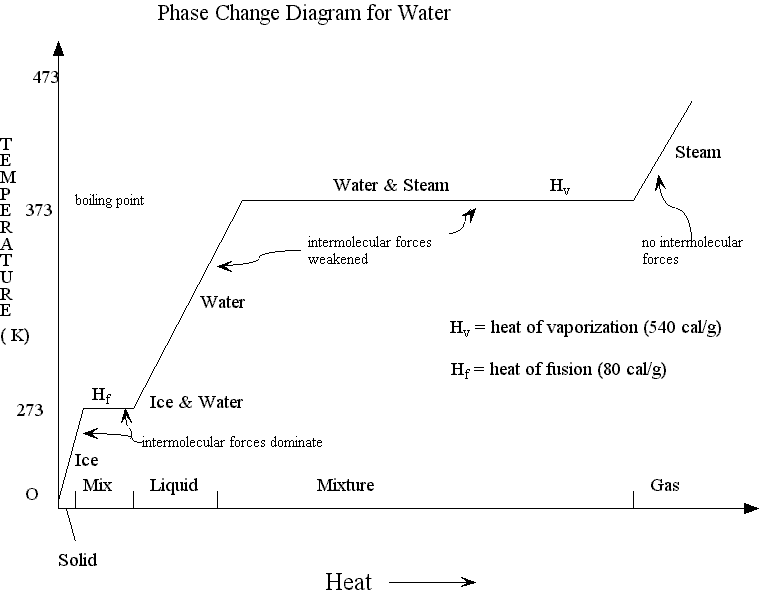 [phase_diagram.gif]