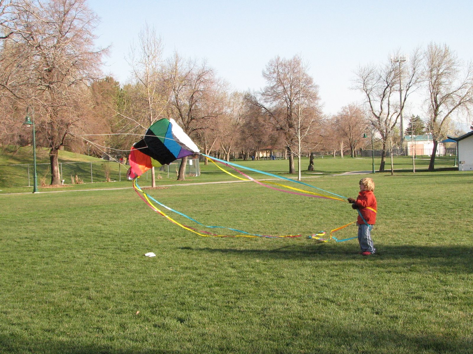[kites+sam+putting+sled+up_2.jpg]
