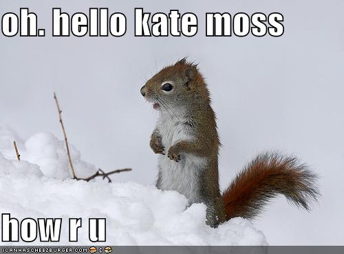 [funny-pictures-squirrel-snow-kate-moss-stick.jpg]