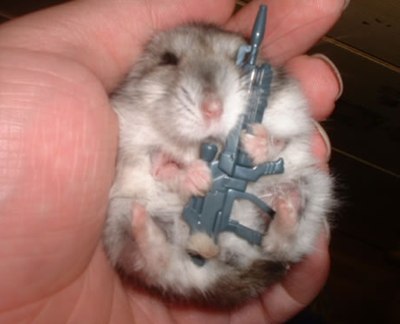 [armed-baby-hamster.jpg]
