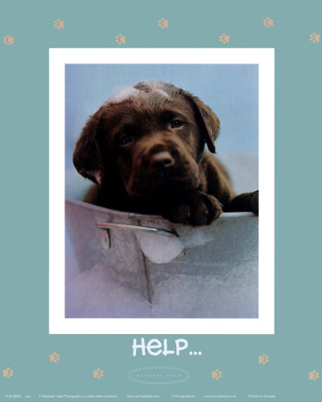 [1155-8020~Help-Posters.jpg]