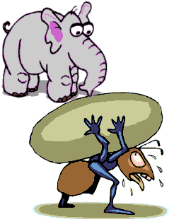 [pluggdin_elephant+ant.PNG]