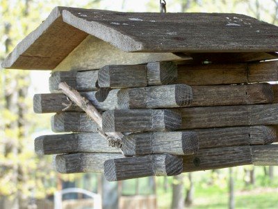 [birdhouses9.jpg]