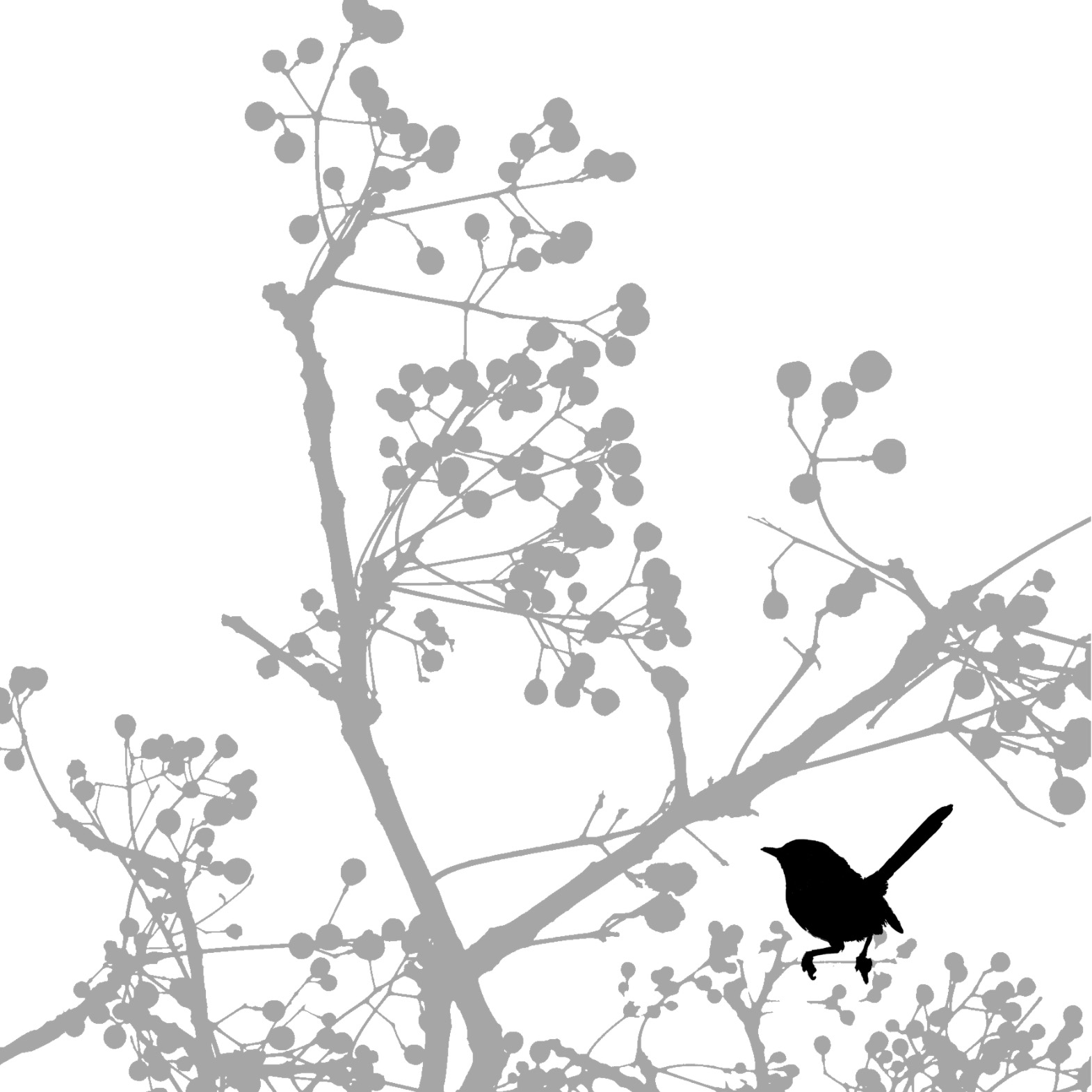 [bird+and+tree.jpg]