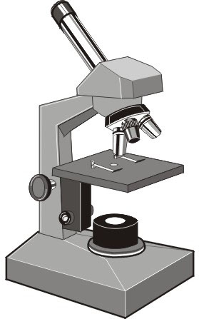 [microscopio[1].jpg]