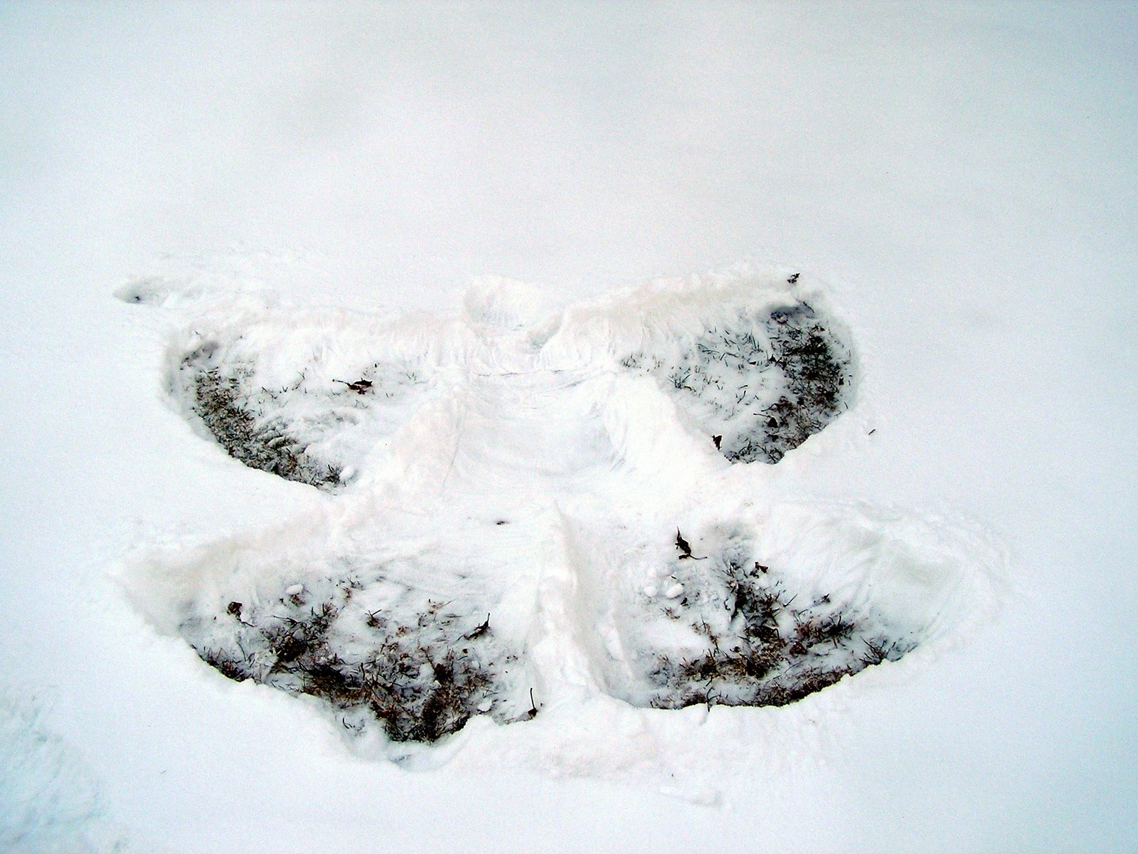 [2007-01-18Rachel+snow+angel4.JPG]