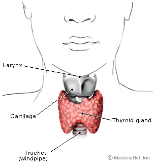 [thyroid_gland.gif]