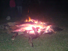 Fogata (Bonfire) for San Juan