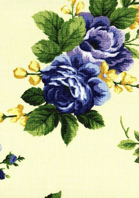[Country+Rose+-+Chambray-Cowslip+PR702602.jpg]