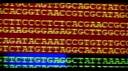 [genome.jpg]