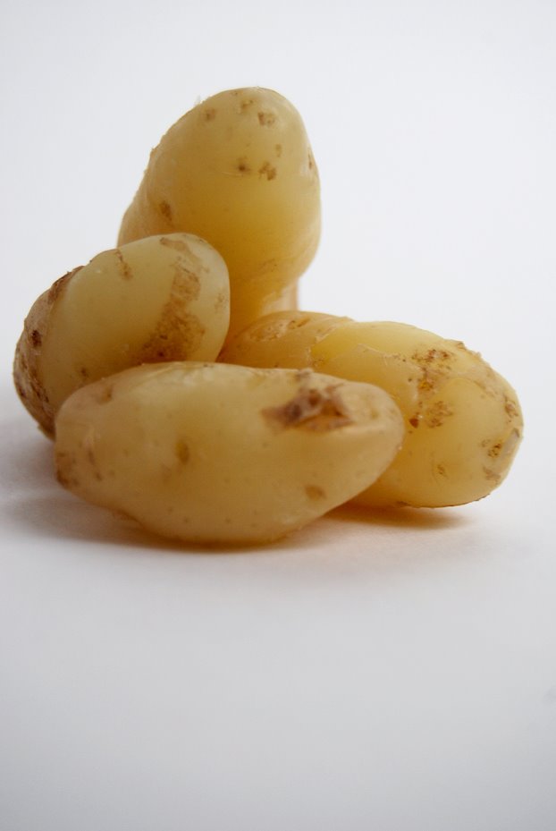 [Anja,+potatis,+bloggDSC_0023.jpg]