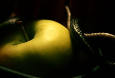 [apple-serpent.jpg]