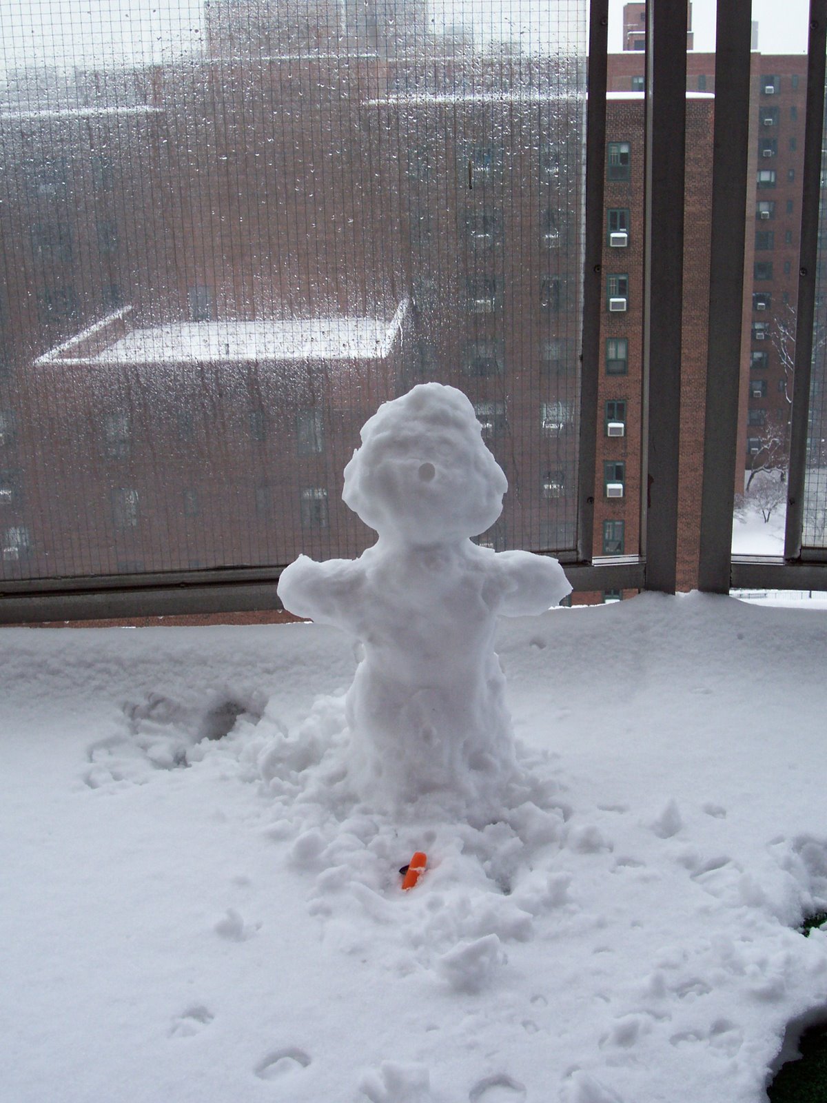 [snowman+2-22-08+004.jpg]