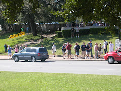The grassy knoll