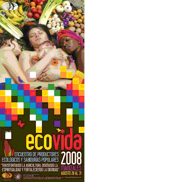 [Ecovida+2008.bmp]