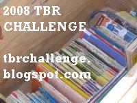 [2008+TBR+Challenge+EXTRA.JPG]