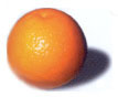 [citrus.jpg]