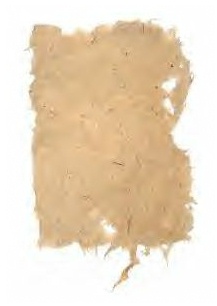 [papyrus.jpg]