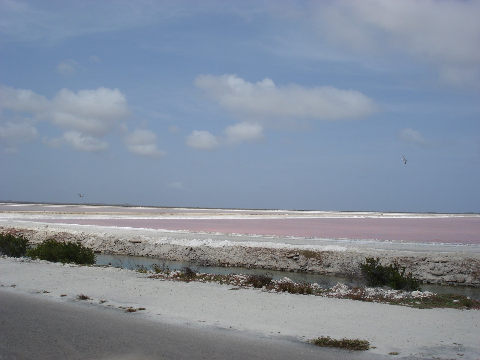 [Pink+coloured+salt+ponds.JPG]