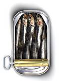 [sardine.jpg]