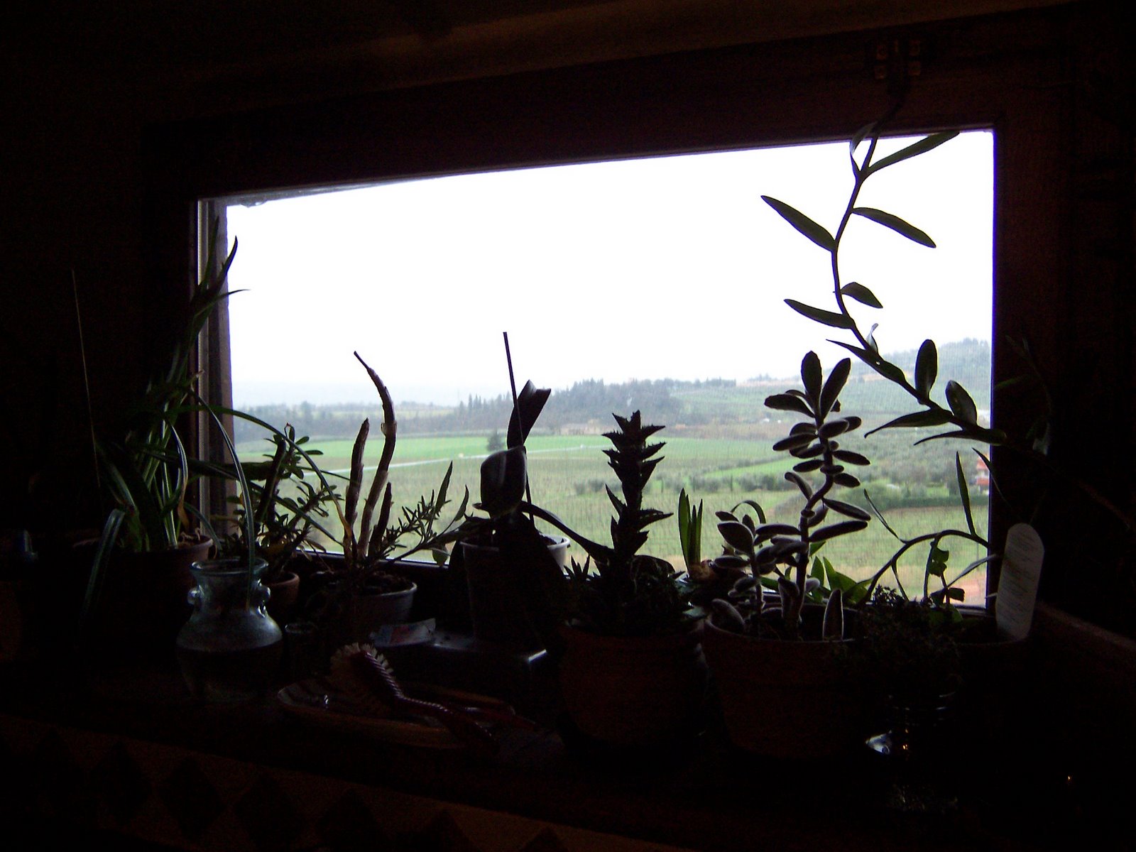 Kitchen window at the farm