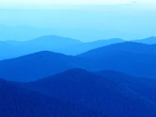 The Blue Ridges of WNC