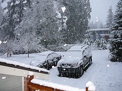 [Seattle+Snow2.jpg]