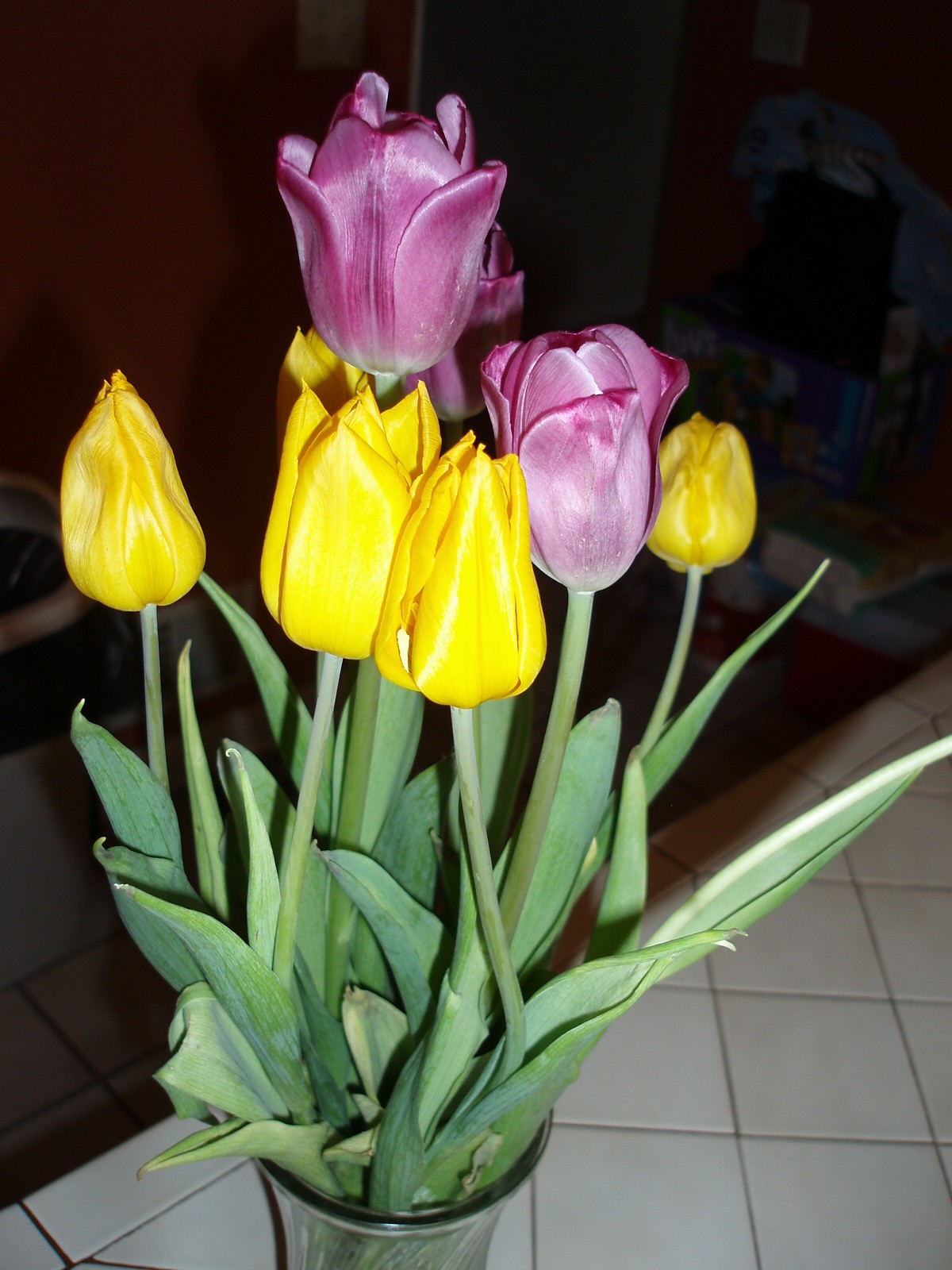 [Tulips+colors+001.JPG]