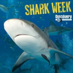 [shark+week.jpg]