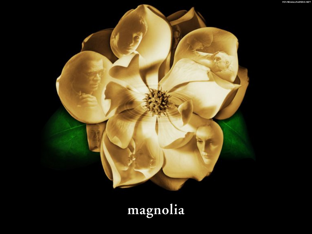 [magnolia-1-1024.jpeg]