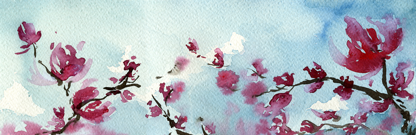 [magnolio_1.JPG]