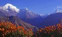 [nepal_annapurna_eco-tourism.jpg]