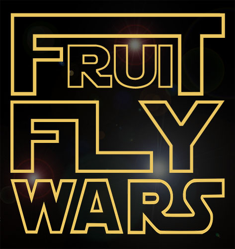 [fruit+fly+wars.jpg]