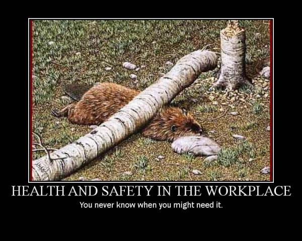 [health-and-safety-in-the-work-place.jpg]