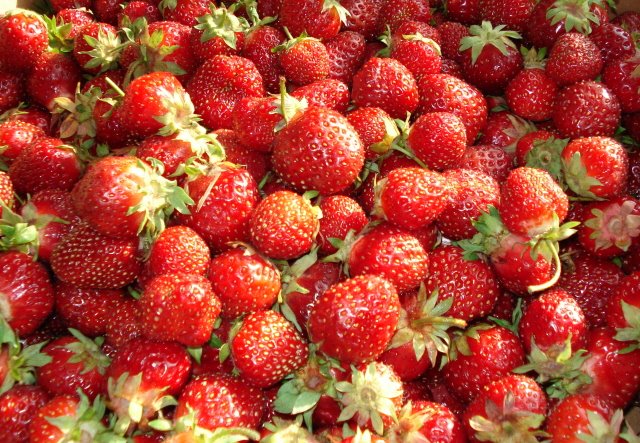 [Strawberries+up+close.jpg]