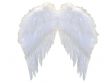 [Angel+Wings.jpg]