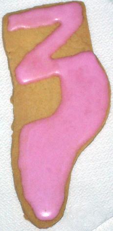 [slipper+cookies.JPG]