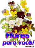 [z-flores4.gif]