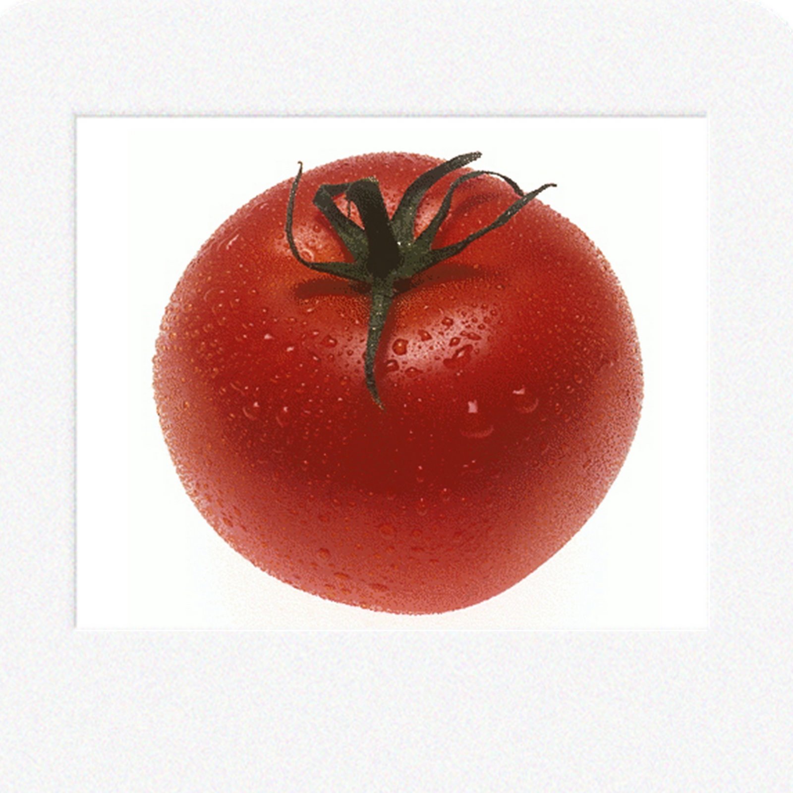 [tomat5.jpg]