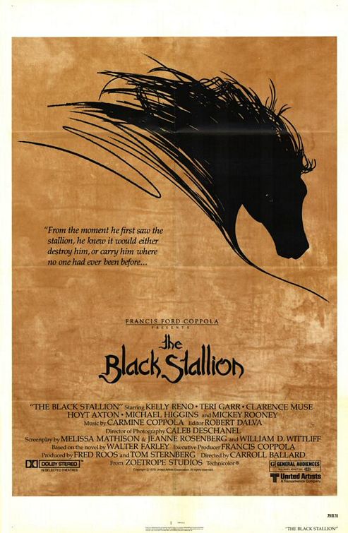 [black_stallion.jpg]