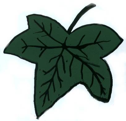 [Ivy+Leaf.jpg]