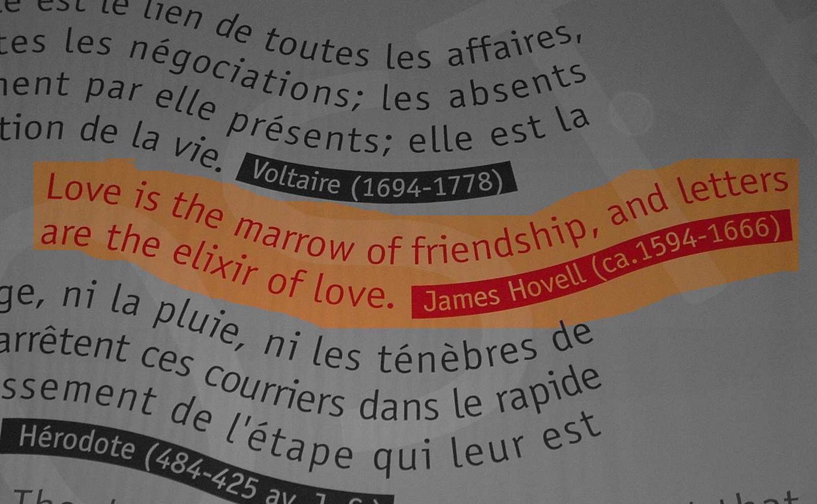 [friendship-quote.jpg]