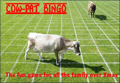 [cow-droppings-bingo.jpg]