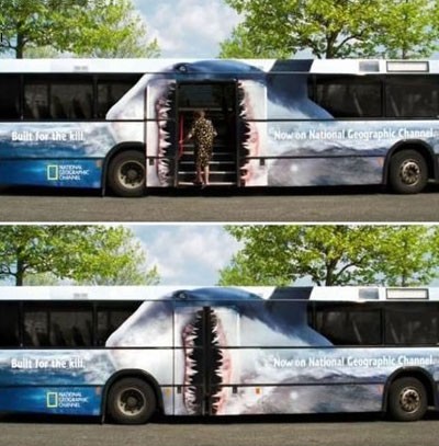 [bus+shark.jpg]