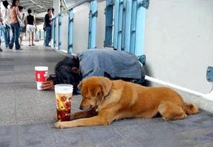[dog+beggar.jpg]