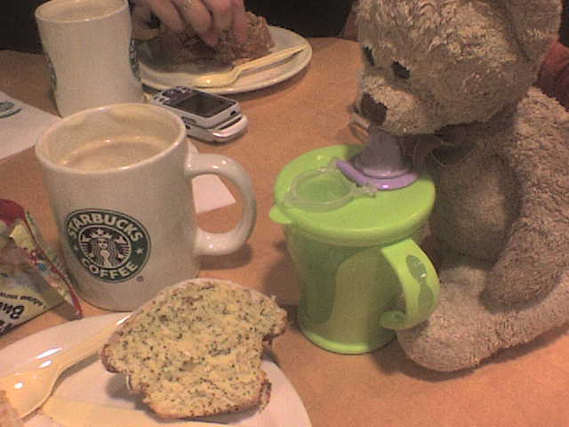 [Teddy+at+Starbucks.JPG]