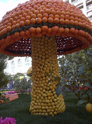 orange sculptures 024 Orange Fruit Creation