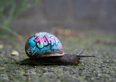 [snail+graf+1+-+blog.jpg]