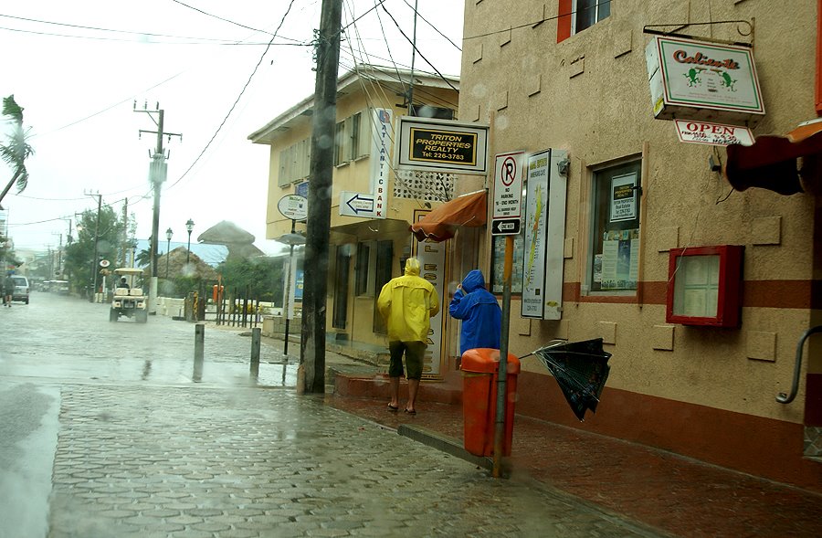 [Rain+Umbella.jpg]
