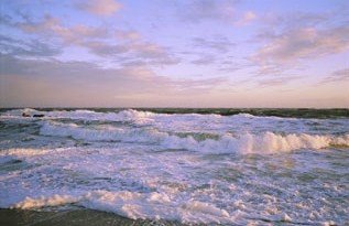 [104364~Foamy-Surf-Upon-a-Beach-Posters.jpg]